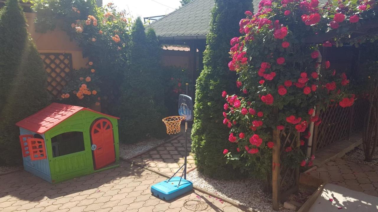 Pensiunea Dunavis Orszowa Zewnętrze zdjęcie